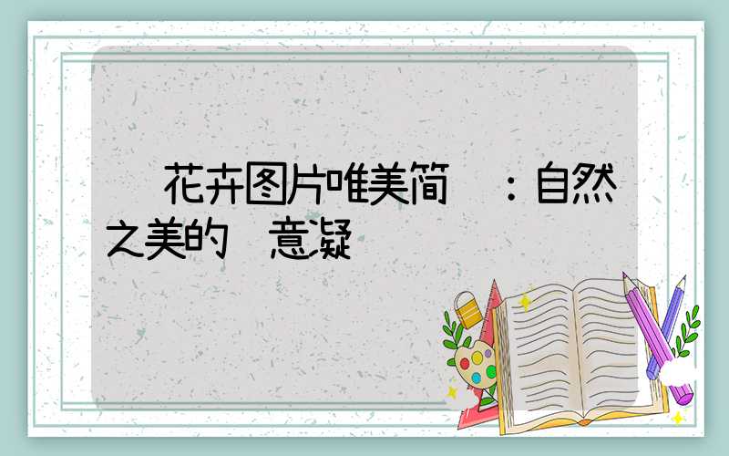  花卉图片唯美简约：自然之美的诗意凝练